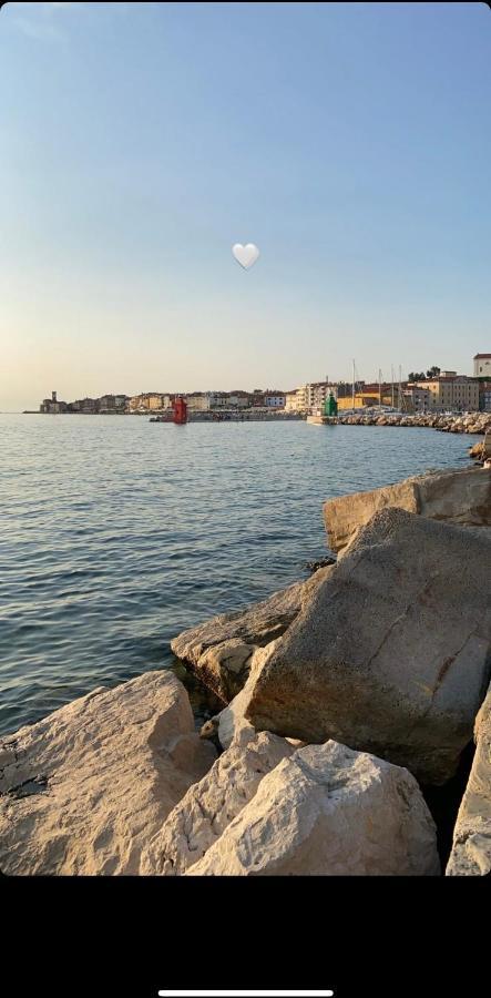 Star Piran
